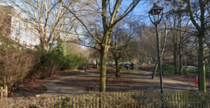 Image of dog exercise area in winter with bare trees