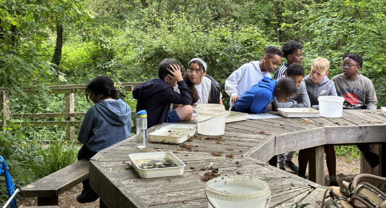 Group of kids exploring the creatures from the pond