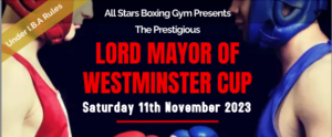 Mayor Boxing Cup