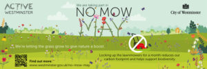 No Mow May