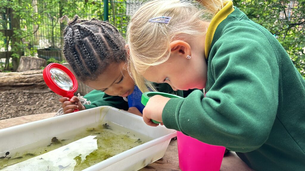 girls looking at a pond tray