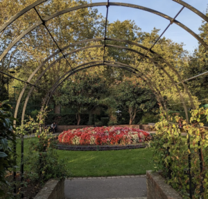 Picture of Rose Garden at Paddington Recreation Ground