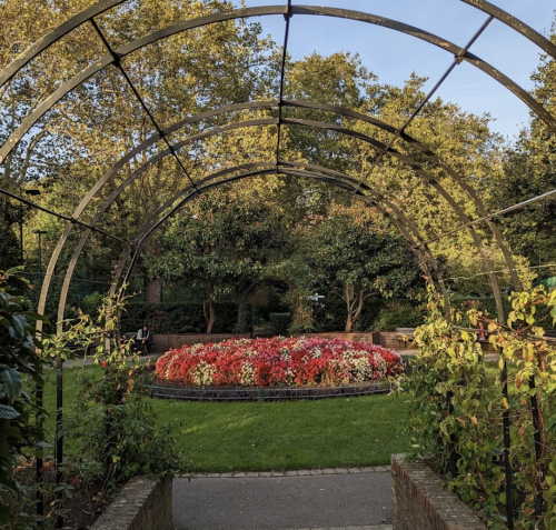 Picture of Rose Garden at Paddington Recreation Ground