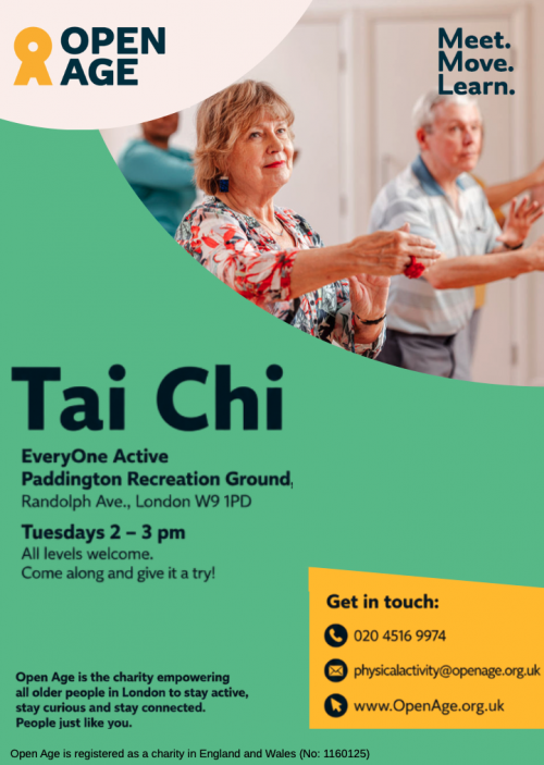 Tai Chi Flyer